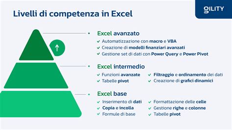 Grafico che illustra i livelli di competenza (base, intermedio, avanzato)