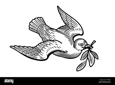 Icona stilizzata di una colomba con un ramoscello d'ulivo, a simboleggiare la pace e lo Spirito Santo nel contesto del Battesimo.