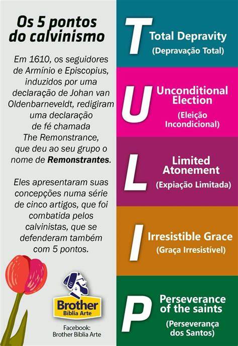 Schema dei Cinque Punti del Calvinismo (TULIP)