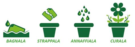 Infografica su come funziona la carta piantabile