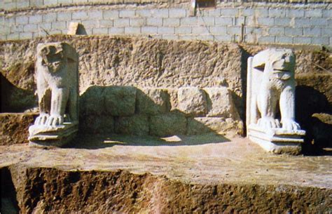 Foto dettagliata di uno dei leoni di Sulci con la criniera e la muscolatura stilizzata