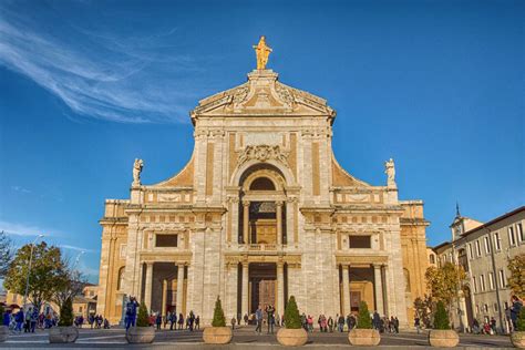 Il Roseto della Basilica di Santa Maria degli Angeli