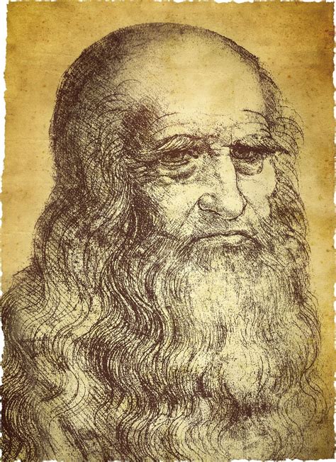 Ritratto di Leonardo da Vinci, generalmente accettato come immagine del suo volto, con barba e capelli lunghi.