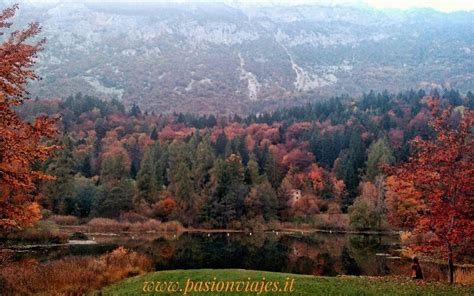 Foto panoramica del Lago di Cei in autunno, con i colori vivaci del foliage che si riflettono nell'acqua