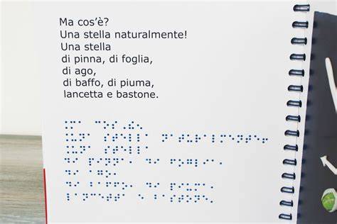 Dettaglio di un pannello esplicativo con testo Braille e disegni tattili
