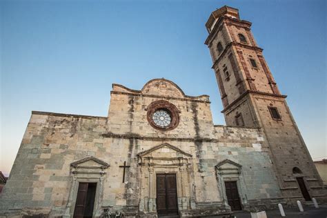 Veduta panoramica dei vigneti coltivati dalle suore a San Vero Milis