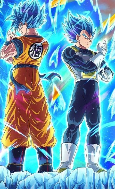 Immagine comparativa di Goku e Vegeta nelle loro forme Super Saiyan Blue.