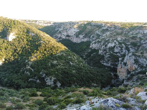 Sentiero sterrato che conduce all'Eremo di Santa Caterina, fiancheggiato da macchia mediterranea e pioppi.