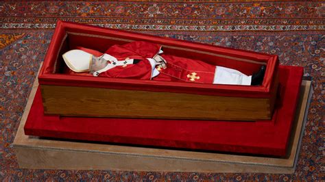 Sintesi visiva dei racconti di Papa Francesco su episodi avvenuti in piazza San Pietro con animali domestici