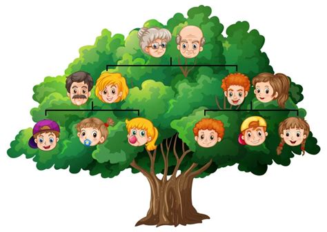 Schema dell'albero genealogico che rappresenta metaforicamente le radici familiari e la discendenza
