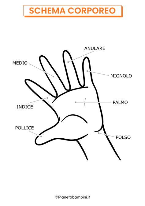 Schema illustrativo della corretta posizione delle mani (sinistra sopra la destra) per ricevere la Comunione.