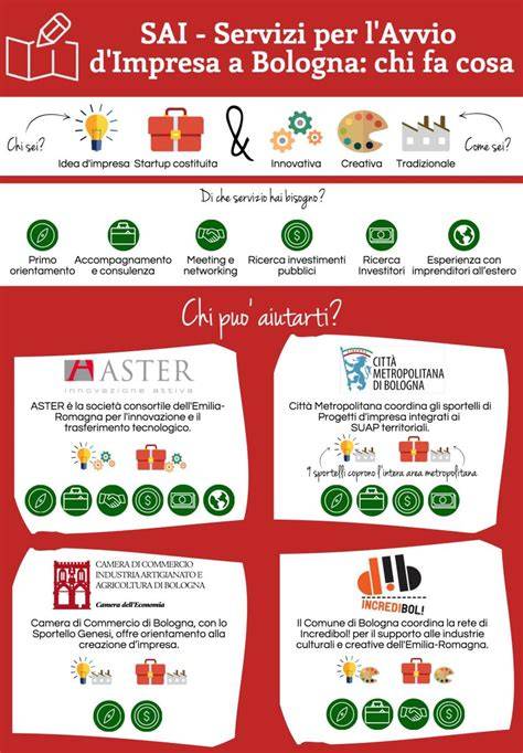 Infografica che illustra il flusso del progetto SAI e i servizi offerti