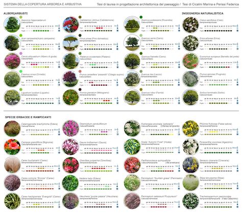 Infografica con esempi delle specie di piante presenti nel Giardino Parolini