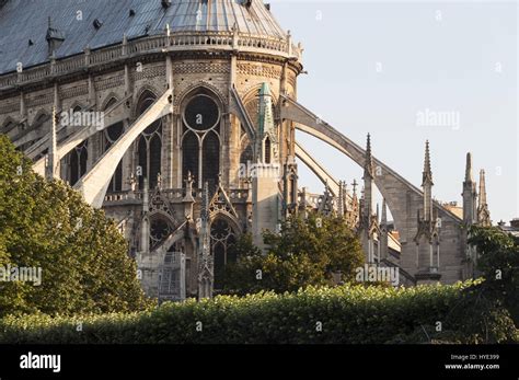 Dettaglio degli archi rampanti di Notre-Dame