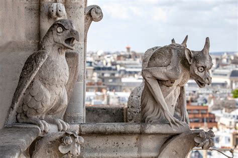 Sculture di gargoyles di Notre-Dame