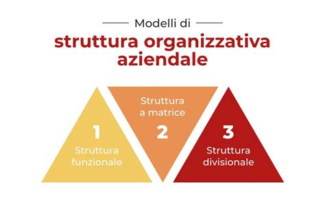 infografica che illustra la struttura organizzativa della