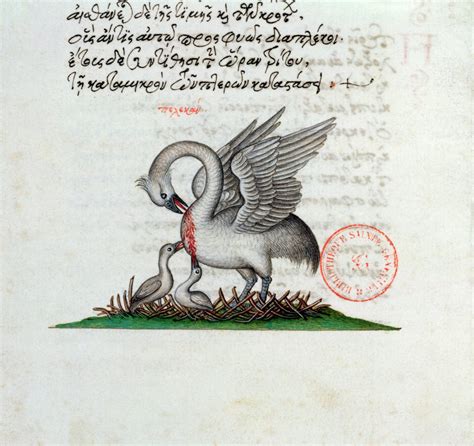 Illustrazione del pellicano che si trafigge il petto per nutrire i piccoli, simbolo eucaristico