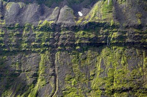Foto ravvicinata delle formazioni geologiche dei