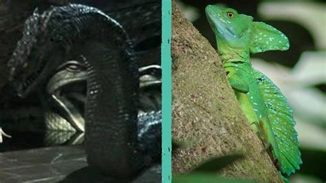 Illustrazione di un basilisco mitologico, metà gallo e metà serpente, con sguardo letale