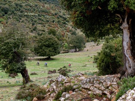 Panoramica del paesaggio collinare dell'entroterra sardo con macchia mediterranea e boschi