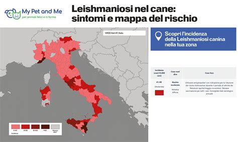 Mappa diffusione nome Graziella in Italia