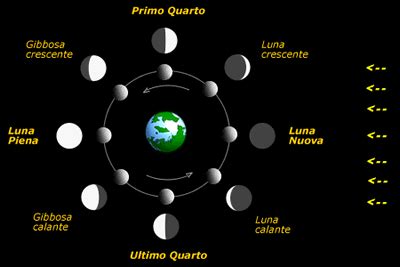 schema delle fasi lunari con il mese sinodico