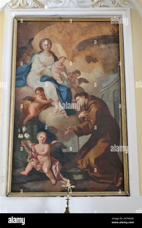 Illustrazione dell'apparizione della Madonna a Bertolino presso l'ulivo
