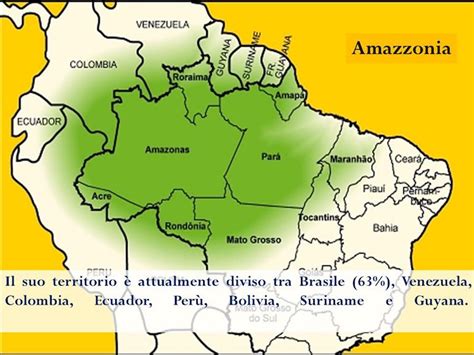 Mappa dell'Amazzonia con i nove paesi coinvolti nel Sinodo