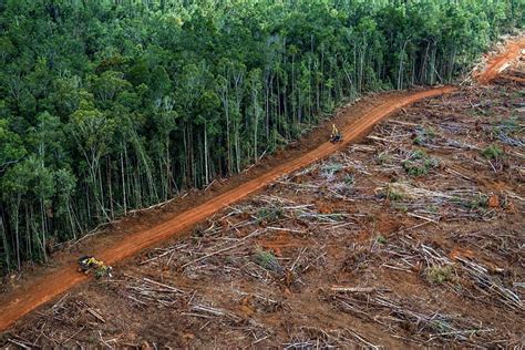 Immagine satellitare della deforestazione in Amazzonia