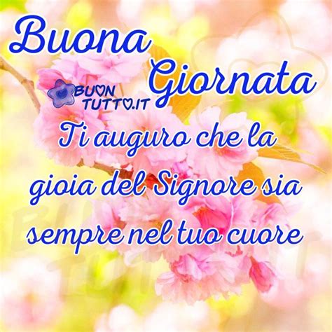 Immagine di fiori di ciliegio rosa all'alba, con un messaggio di buongiorno religioso e la frase