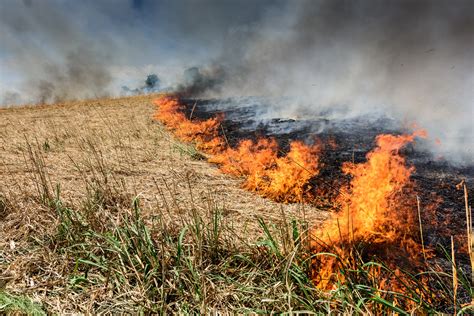 Danni da incendio in un campo agricolo nel casertano