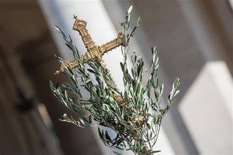 Ramo di palma e di ulivo benedetti, simboli della Domenica delle Palme