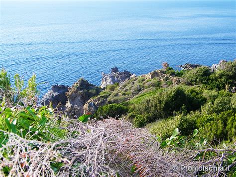 Vista panoramica del bosco di Zaro con le rocce dove avvengono le apparizioni
