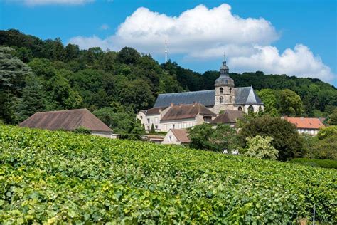 Veduta panoramica dei vigneti di Hautvillers o Épernay (Patrimonio UNESCO)