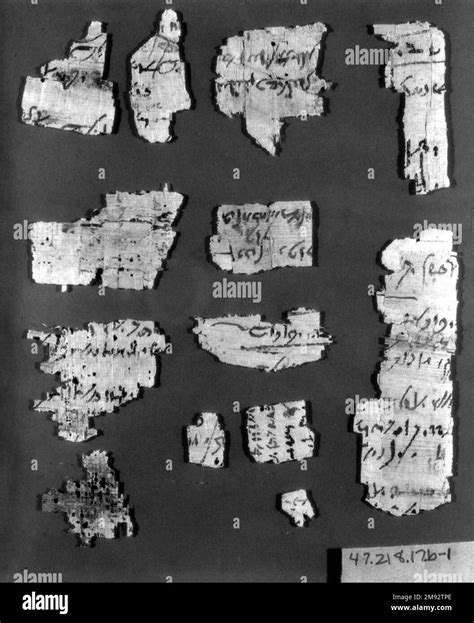 Frammenti di papiro in fase di restauro