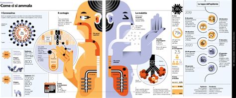 Infografica con i tipi di visto per l'Arabia Saudita