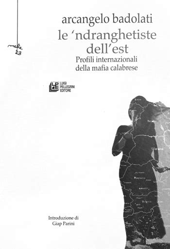 Copertina del libro 