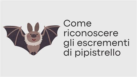 illustrazione di falco, pipistrello e fuco in situazioni di difficoltà
