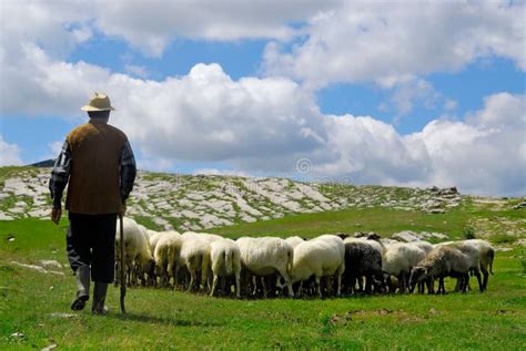 Foto di un pastore con le sue pecore, simbolo della relazione tra Dio e i suoi figli