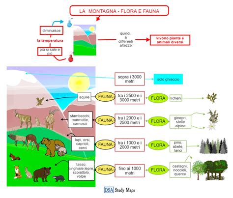 Mappa concettuale del Discorso della Montagna: dalle Beatitudini all'insegnamento sulla Legge e la vita nel Regno.