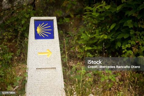 Cartello del Cammino di Santiago con freccia gialla e conchiglia su sfondo naturale