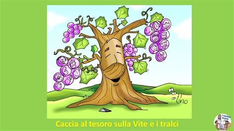 illustrazione della vite e dei tralci per spiegare il concetto di unione con Gesù