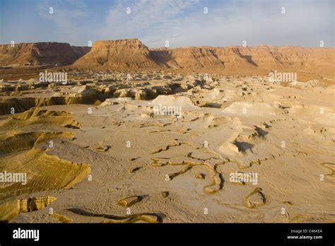 Un'illustrazione o fotografia panoramica dell'arido Deserto della Giudea, evidenziando il luogo inospitale e solitario della prova.