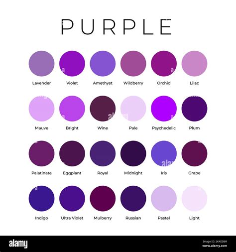 illustrazione del fiore di viola con le sue sfumature viola