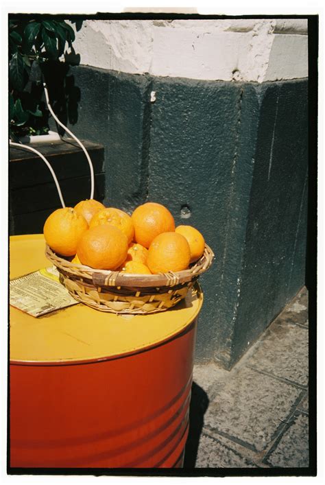 Foto degli aranceti che circondano il Convento La Culla