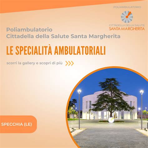 Infografica sui servizi di diagnostica e poliambulatorio