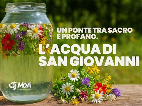 Infografica che mostra le diverse erbe e fiori per l'Acqua di San Giovanni con i loro significati