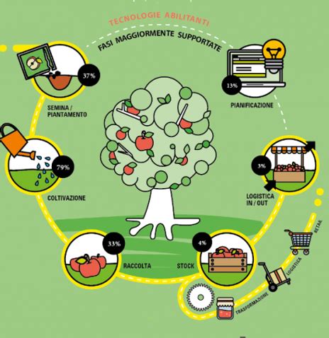 Mappa concettuale che illustra la filiera di un'azienda agricola: dalla terra al consumatore finale