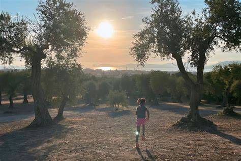 Foto panoramica dell'Agriturismo Sole Luna con ulivi e palme
