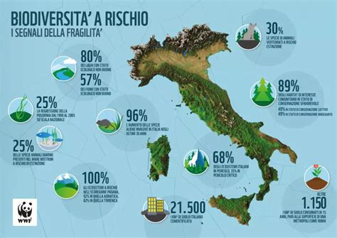 Mappa interattiva o infografica che illustra la distribuzione delle diocesi e degli archivi ecclesiastici in Italia